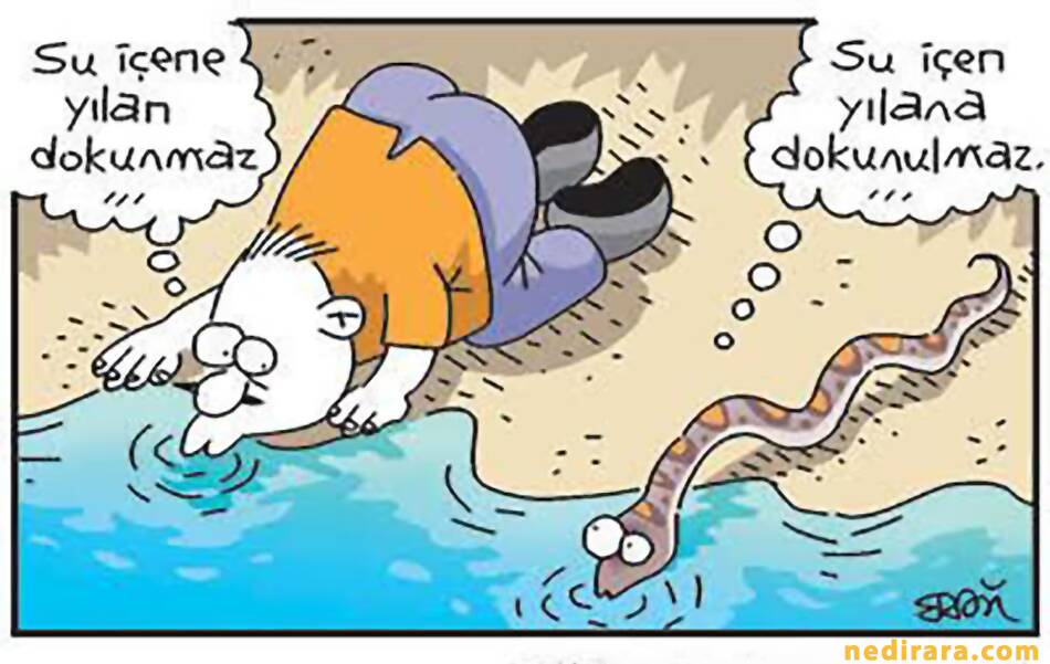 su içene yılan bile dokunmaz